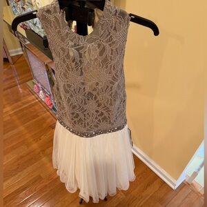 Elegant Lace and Tulle Dress